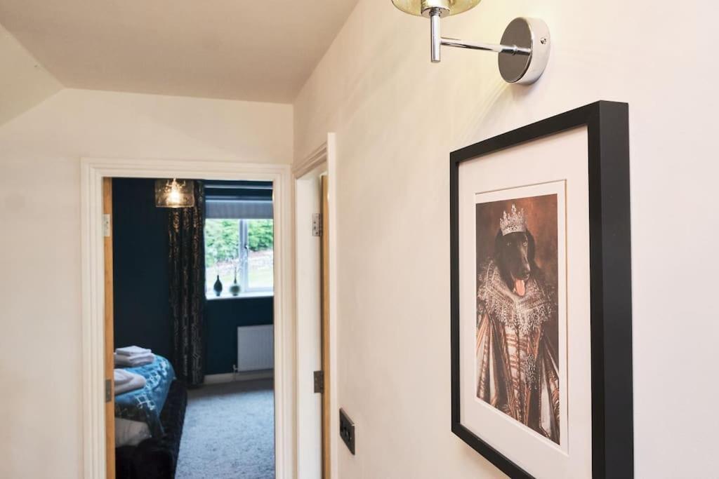 Dipton The Chase, Luxury Hot Tub Retreat, Pets Welcomed מראה חיצוני תמונה